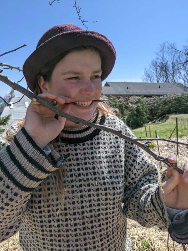 Cube Fellowship Member Wildflower Delmain